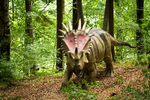 Dinozauri, cinema 9D si experiente unice  la Dino Parc