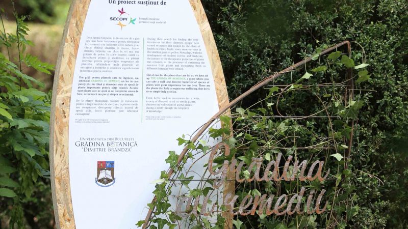 ”Grădina cu remedii”, un proiect marca Secom ®