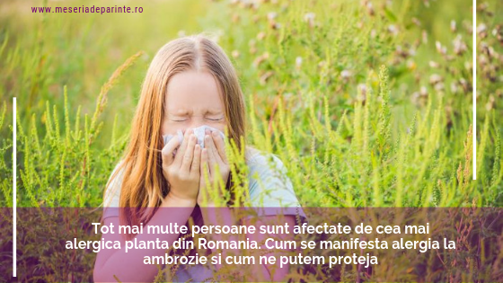 Tot mai multe persoane sunt afectate de cea mai alergica planta din Romania. Cum se manifesta alergia la ambrozie si cum ne putem proteja