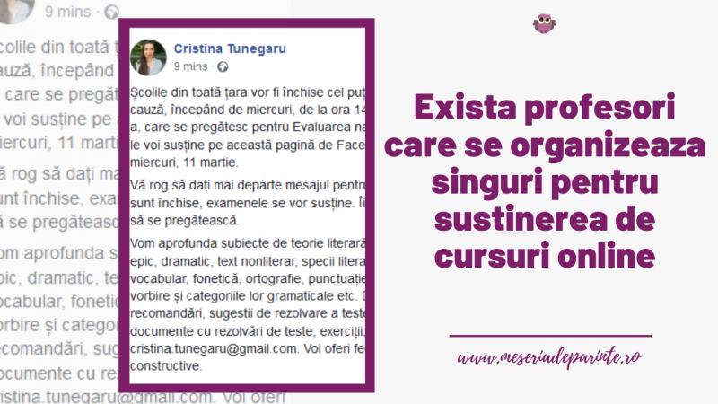 Exista profesori care se organizeaza singuri pentru sustinerea de cursuri online